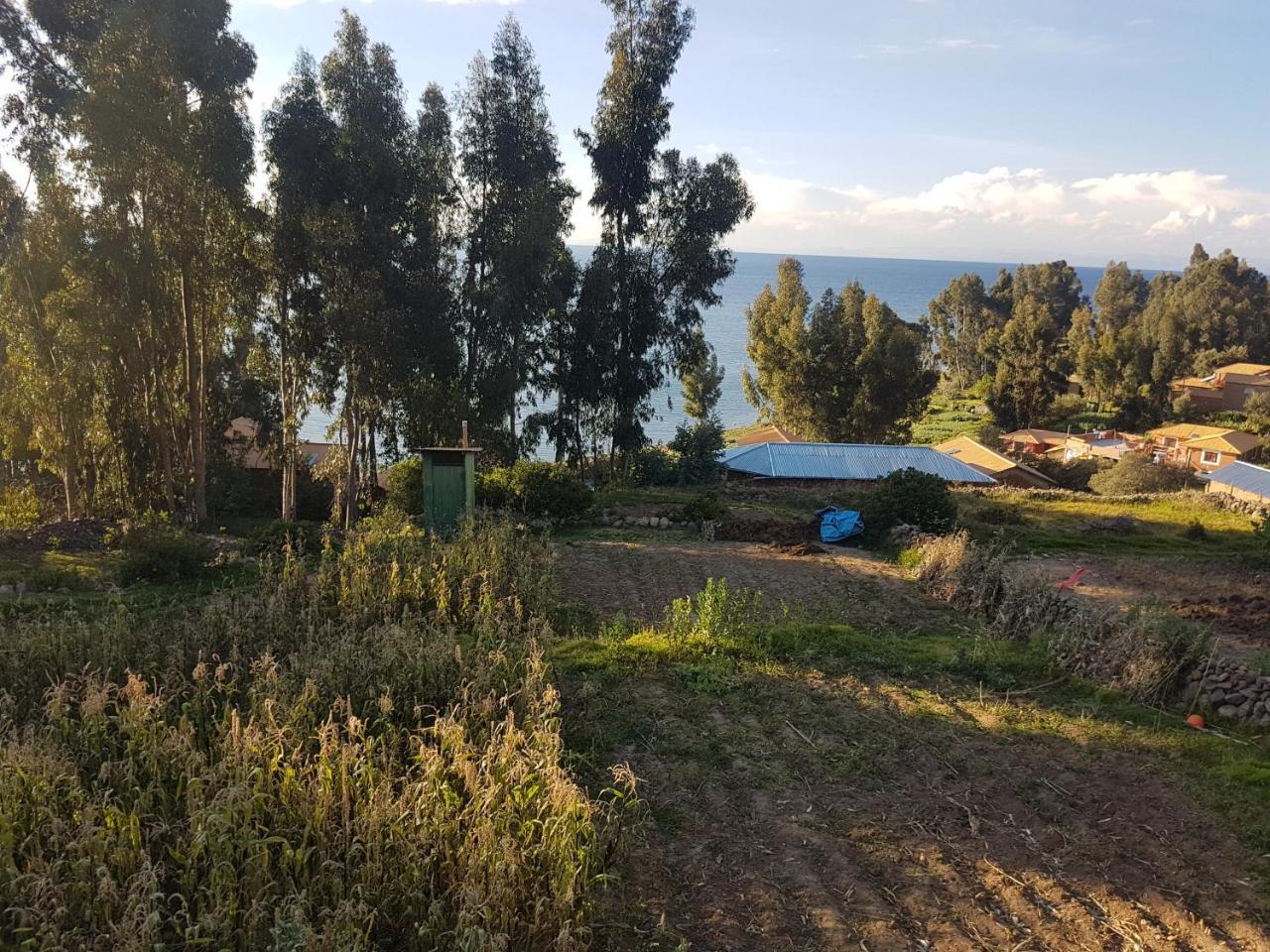 فيلا Ocosuyoفي Musqoy Wasi De Gonzalo المظهر الخارجي الصورة